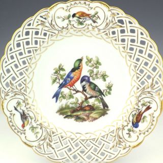 Antique Augustus Rex Meissen Porcelain - Hand Painted Birds Pierced Plate 2