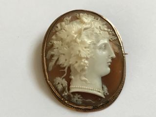 Antique Victorian 1860’s 9 Ct Gold Greek Roman Goddess Shell Cameo Brooch Pin 2”
