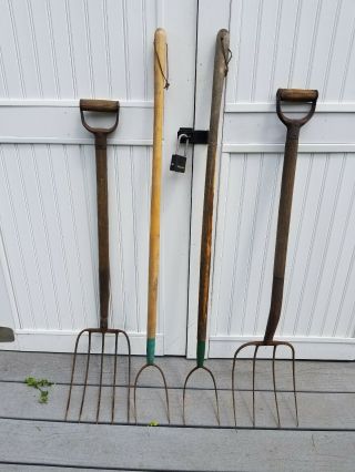 Antique/vintage Farm Hay/pitch Forks [2] Tine[2] 4 Tine With Wood Handle Rustic
