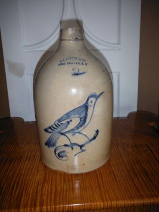 Antique Primitive Salt Glazed Stoneware " Early Bird " Jug Haxston And Co.  2 Gal.