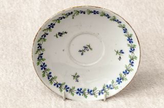 Furstenberg Floral Biedermeier Porcelain Cup and Saucer - Antique - 19th C 4