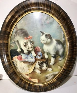 Large Antique Mischievous Kittens By C.  Reichert In Gesso Tiger Wood Oval Frame
