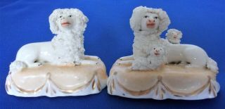 Antique Pair Porcellanous Staffordshire Dogs (poodles With Puppies) - 19th.  C