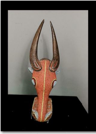 Outstanding Tribal Large Bamum Beaded Bull Headdress Mask - - Cameroon