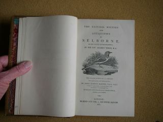 Natural History & Antiquities Of Selborne By Gilbert White,  1875,  J Harting.