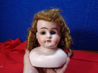 Antique Bisque Doll Head.  A - 2