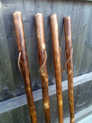 Rustic Hiking Walking Sticks Canes Thick Chestnut Wood Farmers Walking Stick