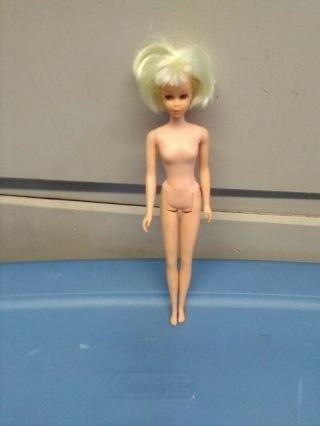 Vintage Mattel 1966 Francie Barbie Doll.