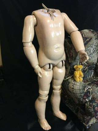 17 1/2 " Antique Composition Doll Body
