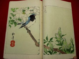 1 - 10 Bijyutsu sekai 22 Japanese Hokusai Keinen Woodblock print book 6