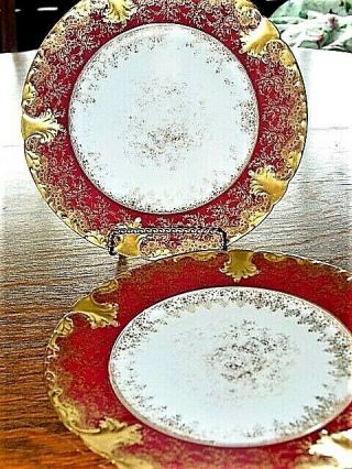 Antique Limoges Plates (2) G D & Abbot 1902 - 1910hvybrushgold,  On Red Rims,  Excond
