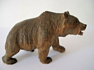 A Vintage Black Forest,  Small Carved Wooden Figure Of A Bear.