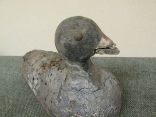 Unusual Antique Folk Art Coot Duck Decoy Cork Body Metal Button Eyes Carved Head