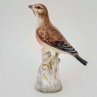 Antique Early 19th Century Meissen Porcelain Chaffinch Bird Figurine Model 110