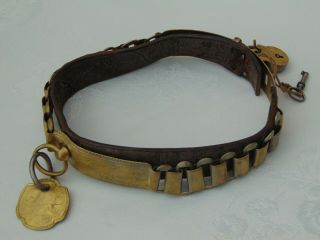 Antique Victorian English Brass & Leather Dog Collar With Padlock Key Nameplate