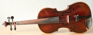 Very Old Labelled Vintage Violin " Dominicus Montagnana " Fiddle 小提琴 ヴァイオリン Geige