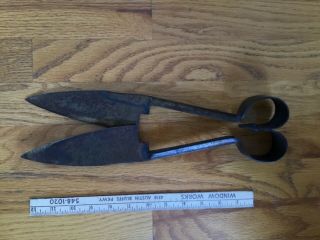 Vintage Antique Sheep Shears 13 " Made In Reading,  Pa Rustic Great Patina