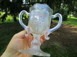 Fenton Orange Tree Antique Carnival Art Glass Loving Cup White Rare Color