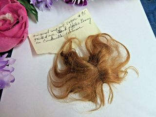Vintage wig for VOGUE GINNY 95 HP in Cinderella Costume MOHAIR reddish 2
