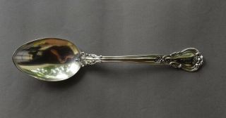 1895 Gorham Chantilly Sterling Silver Large 8 1/4 " Serving Spoon - 61 Grams