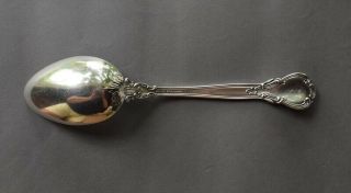 1895 Gorham CHANTILLY Sterling Silver Large 8 1/4 