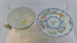 Rare Antique Butterfly tea cups Porcelain Set of 4 4