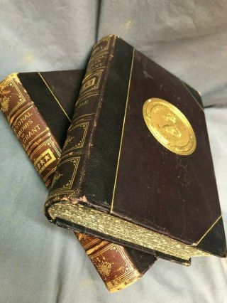 Antique Book Set - Personal Memoirs of U.  S.  Grant,  Vol I & II,  1885,  86,  VG Cond 3