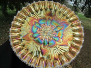 Dugan Stippled Petals Antique Carnival Art Glass Plate Peach Opalescent A Dandy