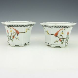 Vintage Chinese Oriental Porcelain - Hand Painted Bird & Flowers Vases