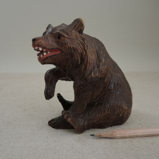 Antique Black Forest Carved Wood Bear Figure Switzerland Germany Glass Eyes Vtg