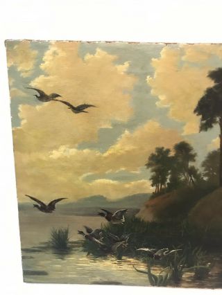 Antique Sporting Art Wildlife Study Oil Painting Of Ducks And A Moose 2