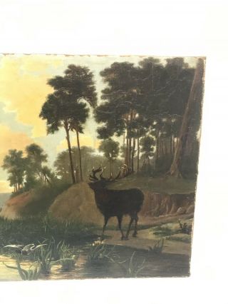 Antique Sporting Art Wildlife Study Oil Painting Of Ducks And A Moose 4