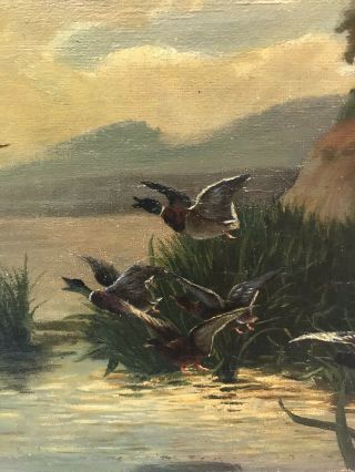 Antique Sporting Art Wildlife Study Oil Painting Of Ducks And A Moose 5