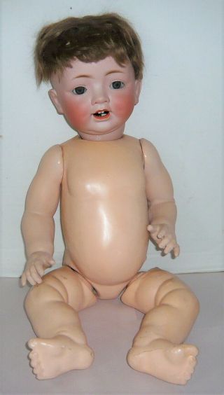 20 " Antique German C.  P.  263/50 Bisque Head Doll,  Comp.  Body