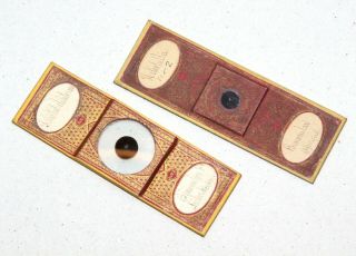 Two Victorian Prepared Microscope Slides