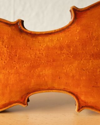 Very Old Labelled Vintage Violin " Thomas D.  Nicol " 小提琴 скрипка ヴァイオリン Geige