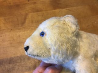 Vintage Antique Steiff Polar Bear White Mohair 6” Tall No Id