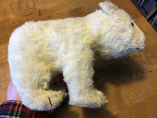 Vintage Antique Steiff Polar Bear White Mohair 6” Tall No ID 5