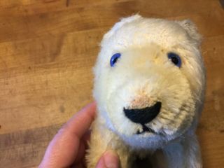 Vintage Antique Steiff Polar Bear White Mohair 6” Tall No ID 6