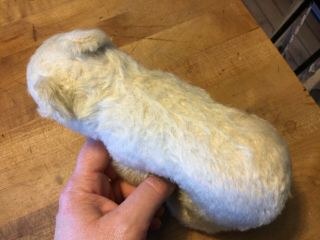 Vintage Antique Steiff Polar Bear White Mohair 6” Tall No ID 7