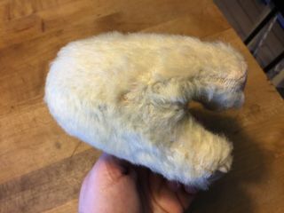 Vintage Antique Steiff Polar Bear White Mohair 6” Tall No ID 8