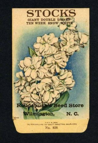 Antique 1918 Stocks Snow White Seed Packet / Roudabush Seed Store,  N.  C.  R - 050