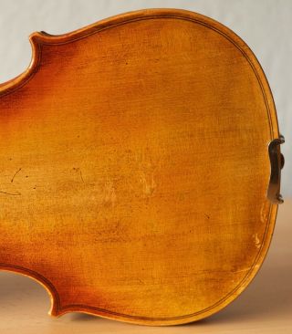 old violin 4/4 geige viola cello fiddle label JANUARIUS GAGLIANO 10