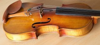 old violin 4/4 geige viola cello fiddle label JANUARIUS GAGLIANO 11
