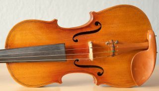 old violin 4/4 geige viola cello fiddle label JANUARIUS GAGLIANO 3