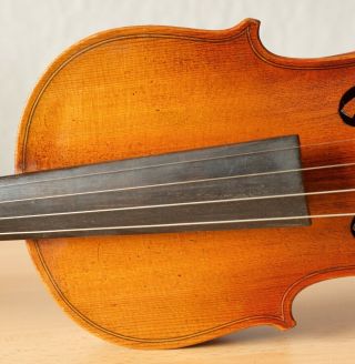 old violin 4/4 geige viola cello fiddle label JANUARIUS GAGLIANO 4