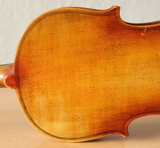 old violin 4/4 geige viola cello fiddle label JANUARIUS GAGLIANO 8