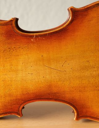 old violin 4/4 geige viola cello fiddle label JANUARIUS GAGLIANO 9