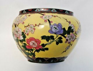 Large Antique Chinese Cloisonne Vase Decorated With Prunus Tree Blossom Flowers