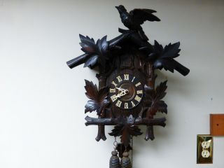 Rare Antique German Cuckoo Clock Co.  - 1 Day - In